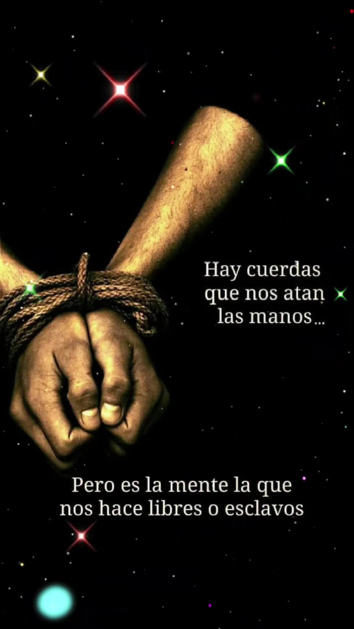@José A. Quevedo Navarro