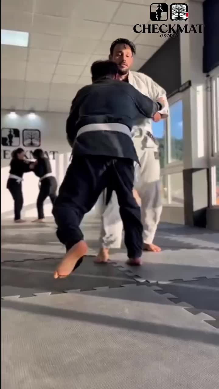@bjj memes br