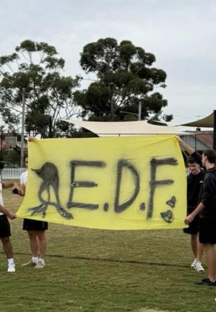 @The E.D.F