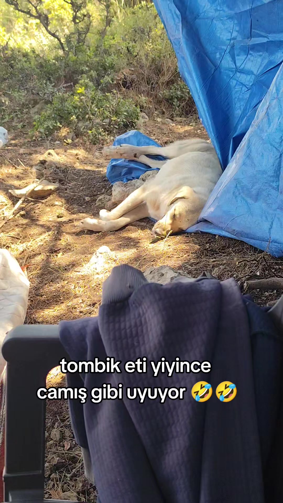 @PİSKO👉TOMBİK{45}