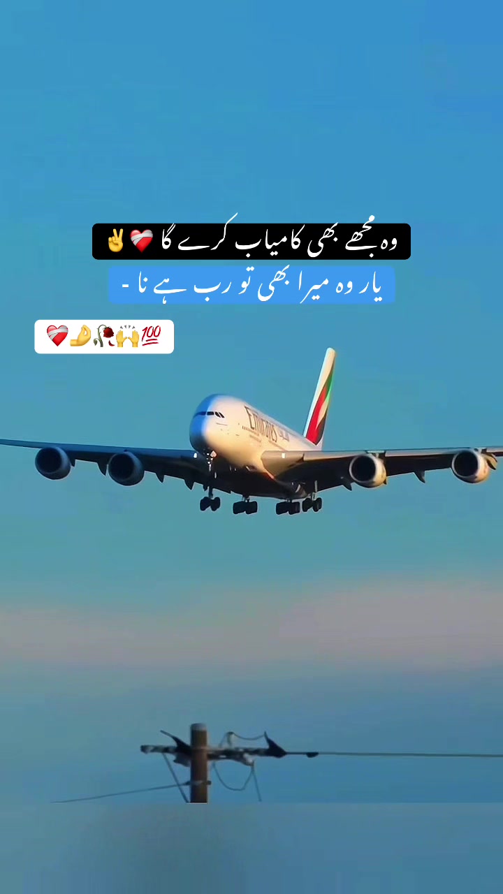 @❀࿐𝐏𝐮𝐫باش ♛