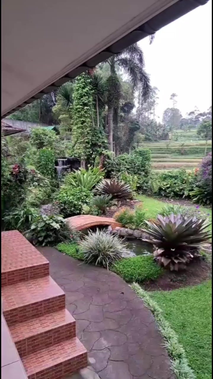 @dewidailylife