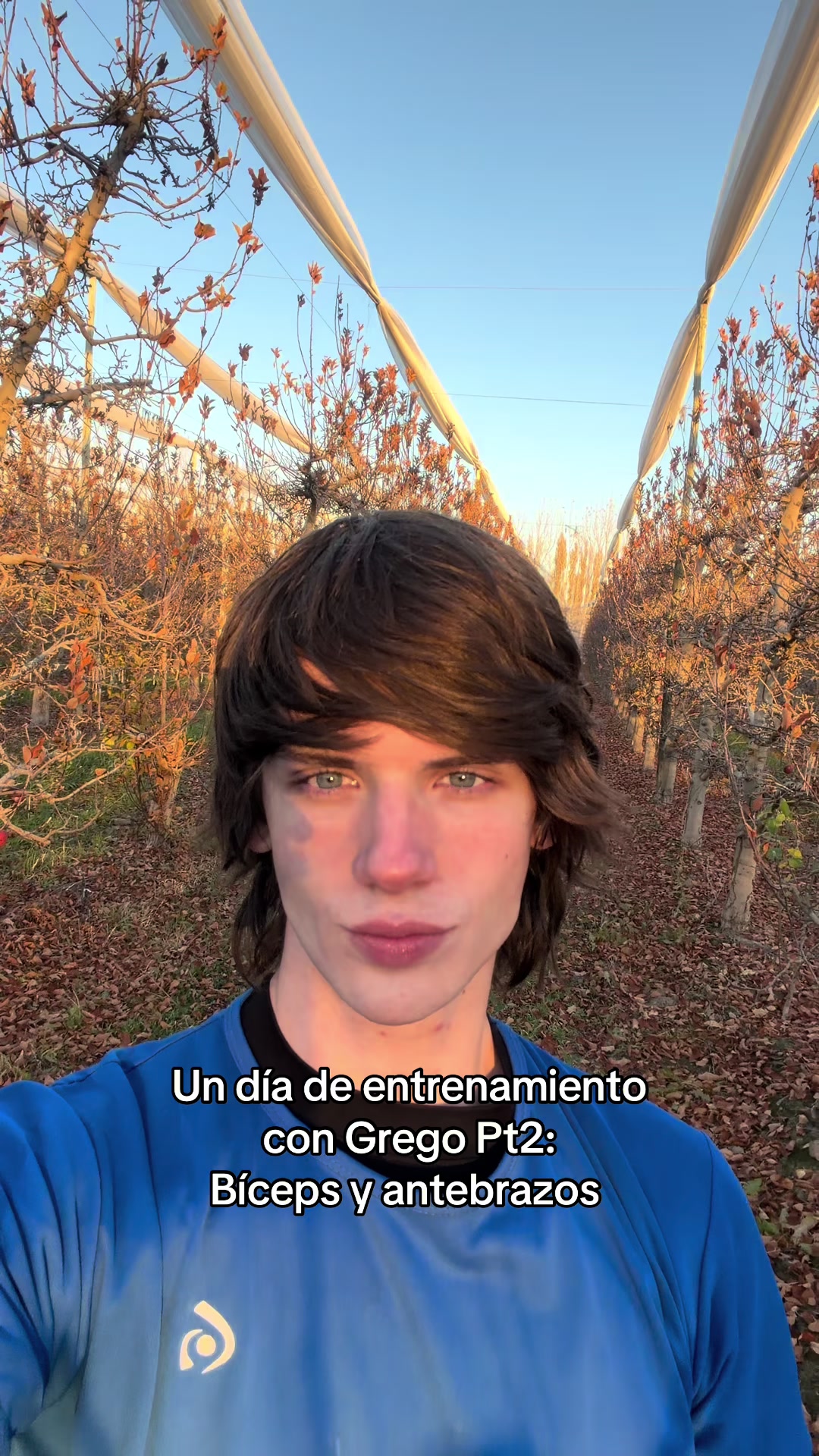 @gregohndz