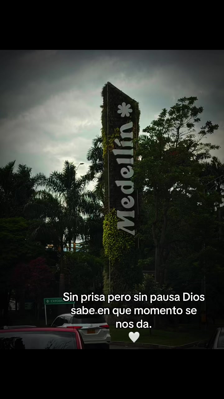 @André 🐻🧸 peluchito