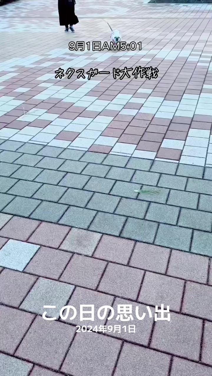 @ごん太