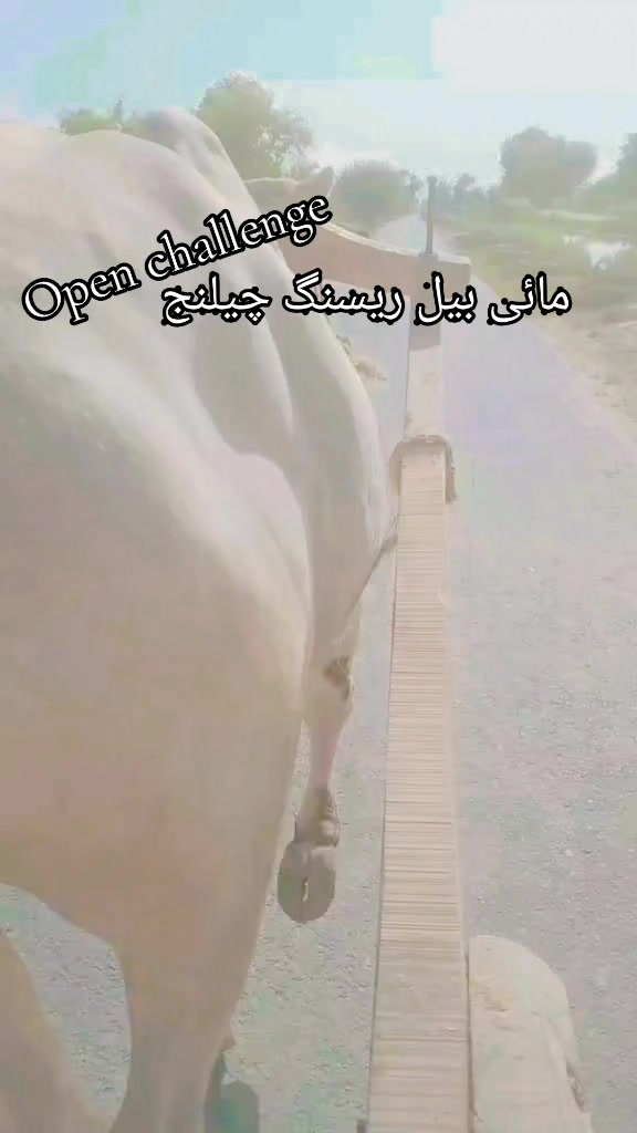 @ðâðïž ððŒðð® ððµð®ð»ðâðïž