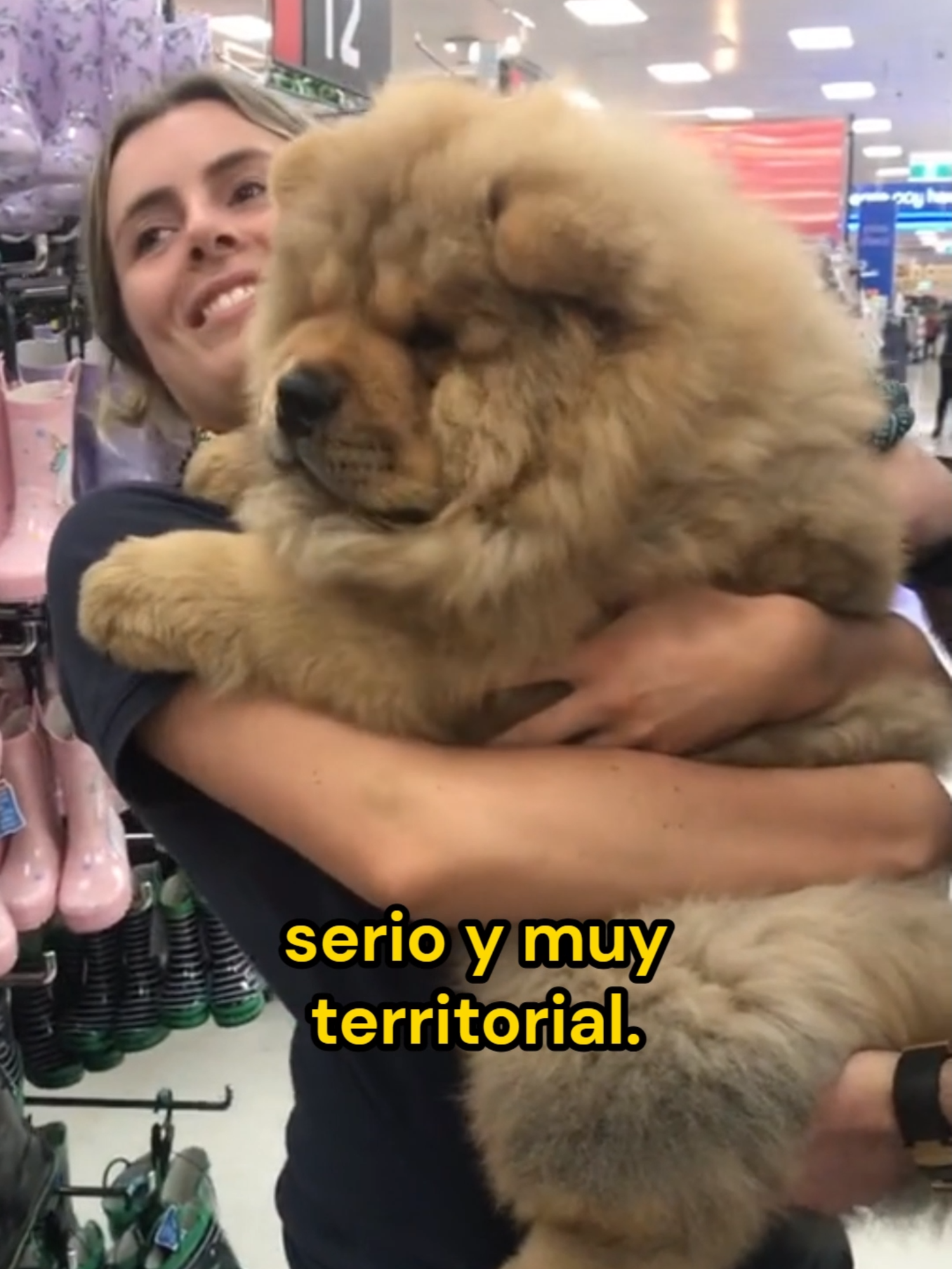 @Mi Mascota Feliz