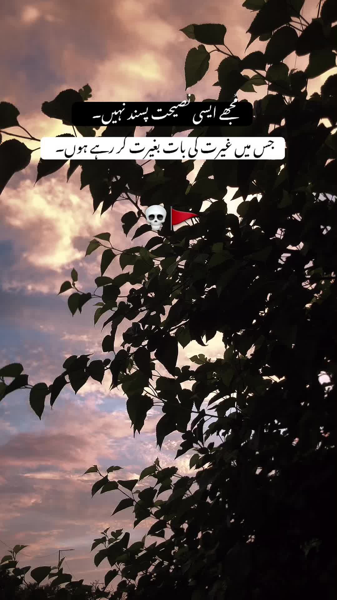 @☠مغل بادشاہ☠