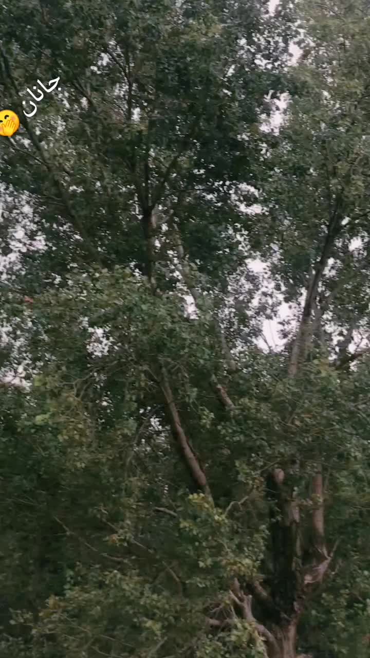 @♟️پردھان صاحب &spades;️