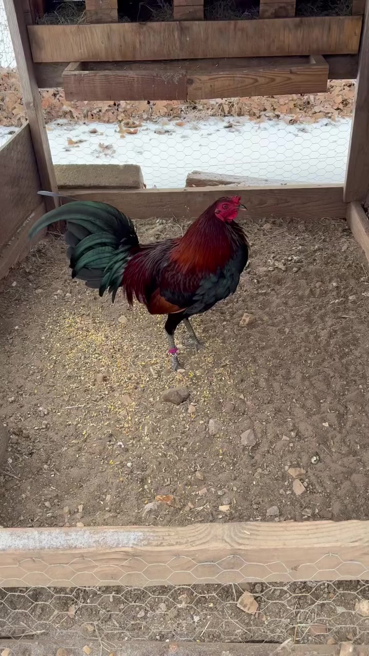 @G3 Farm & Fowl Supplies