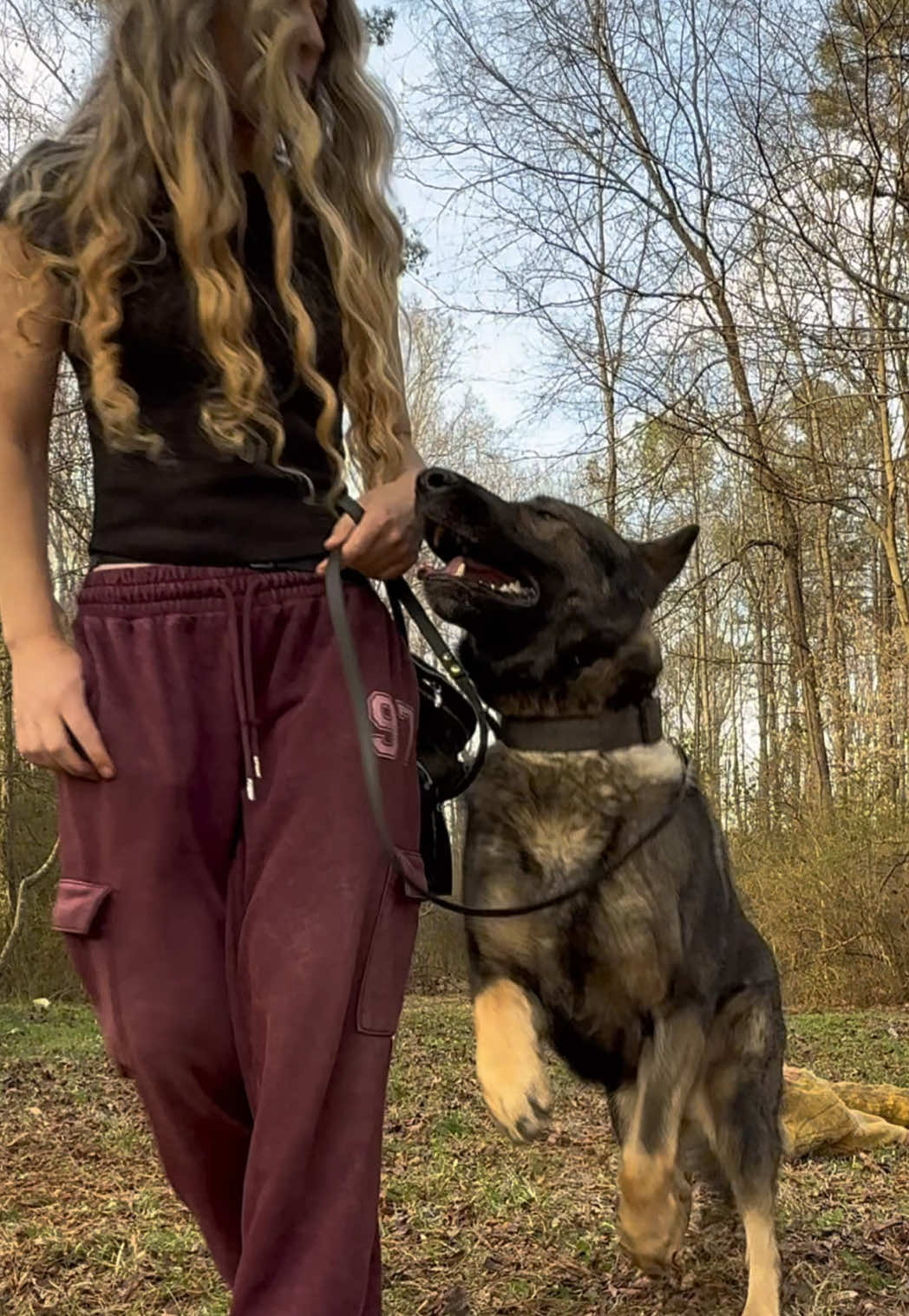 @True Guard K9 I Tara