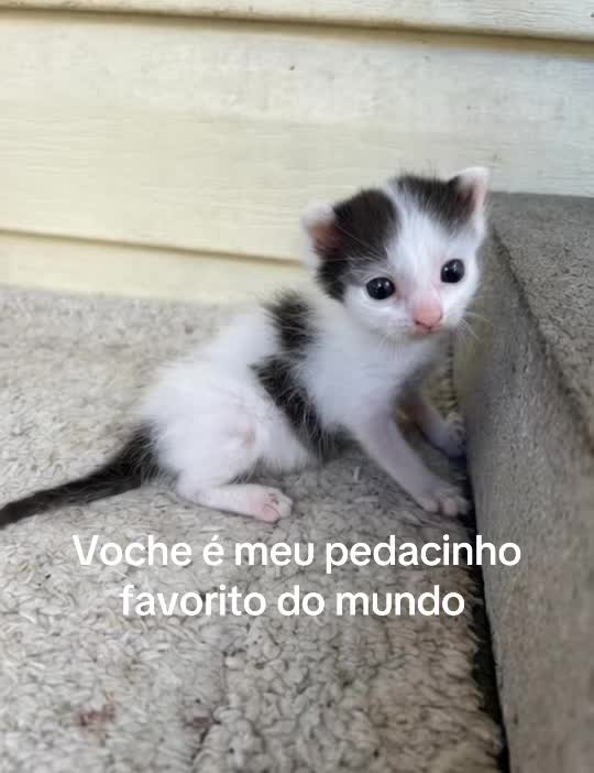 @Oii
