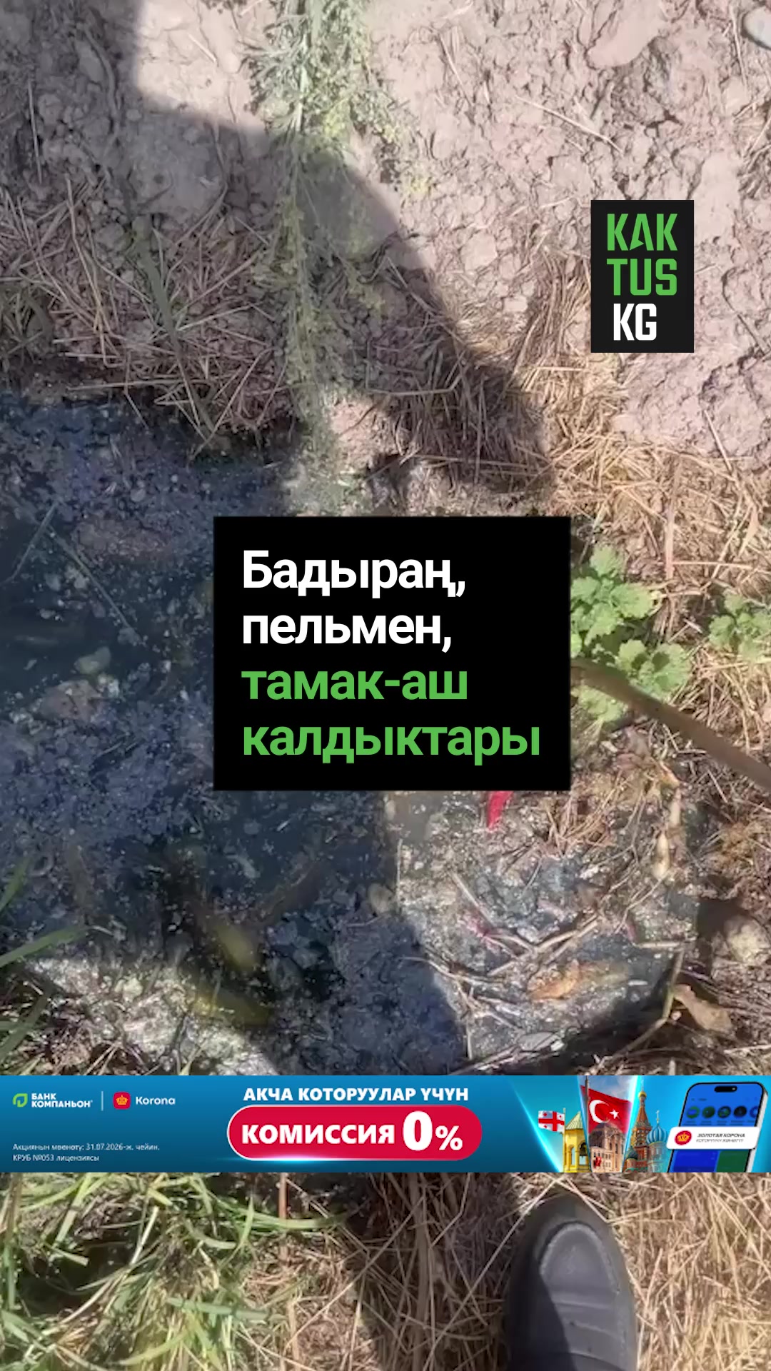 @Kaktus KG