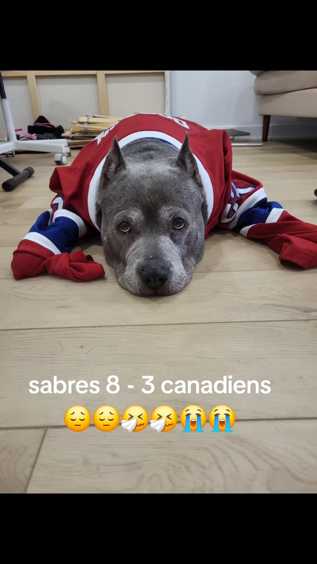 @siempreluna