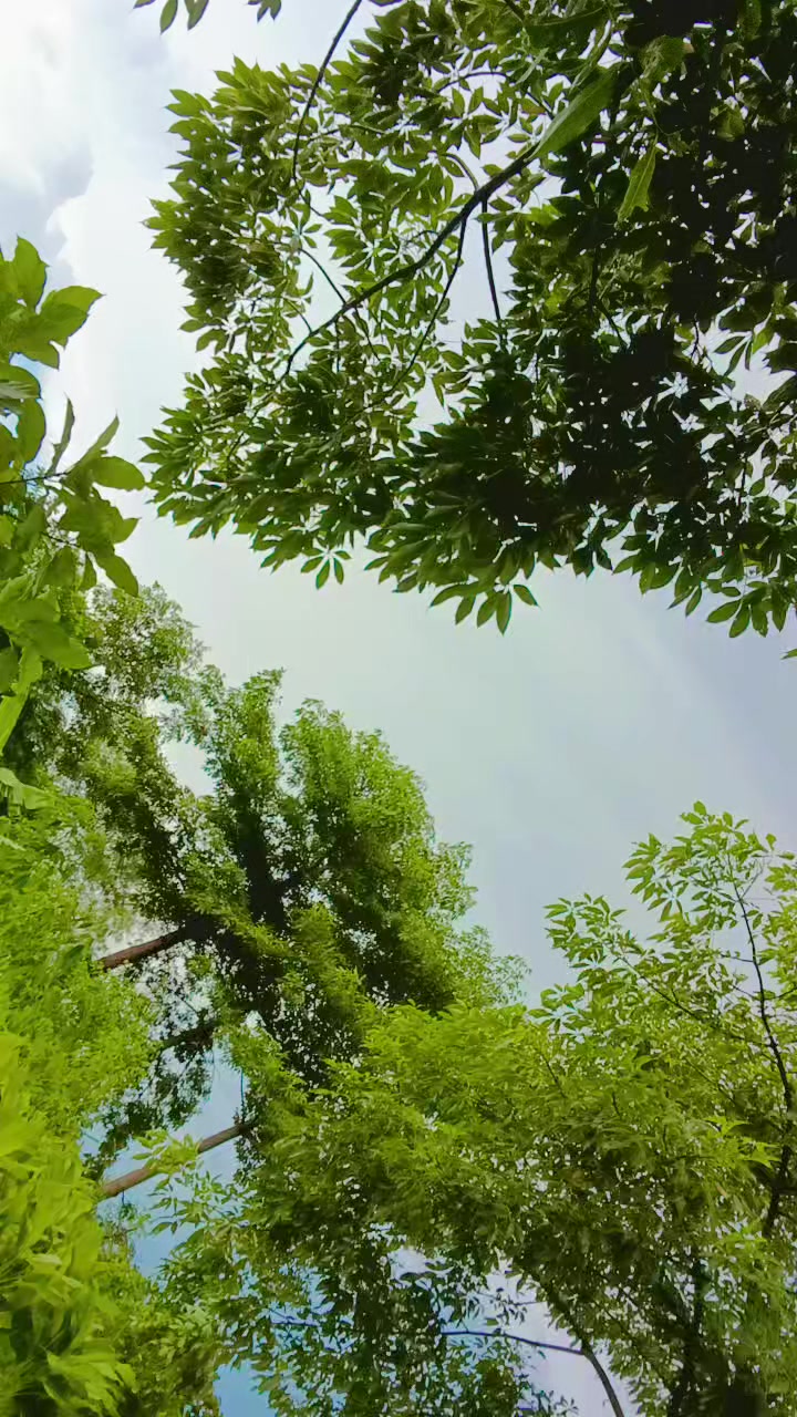 @अमित थारु 🇳🇵&hearts;️💐