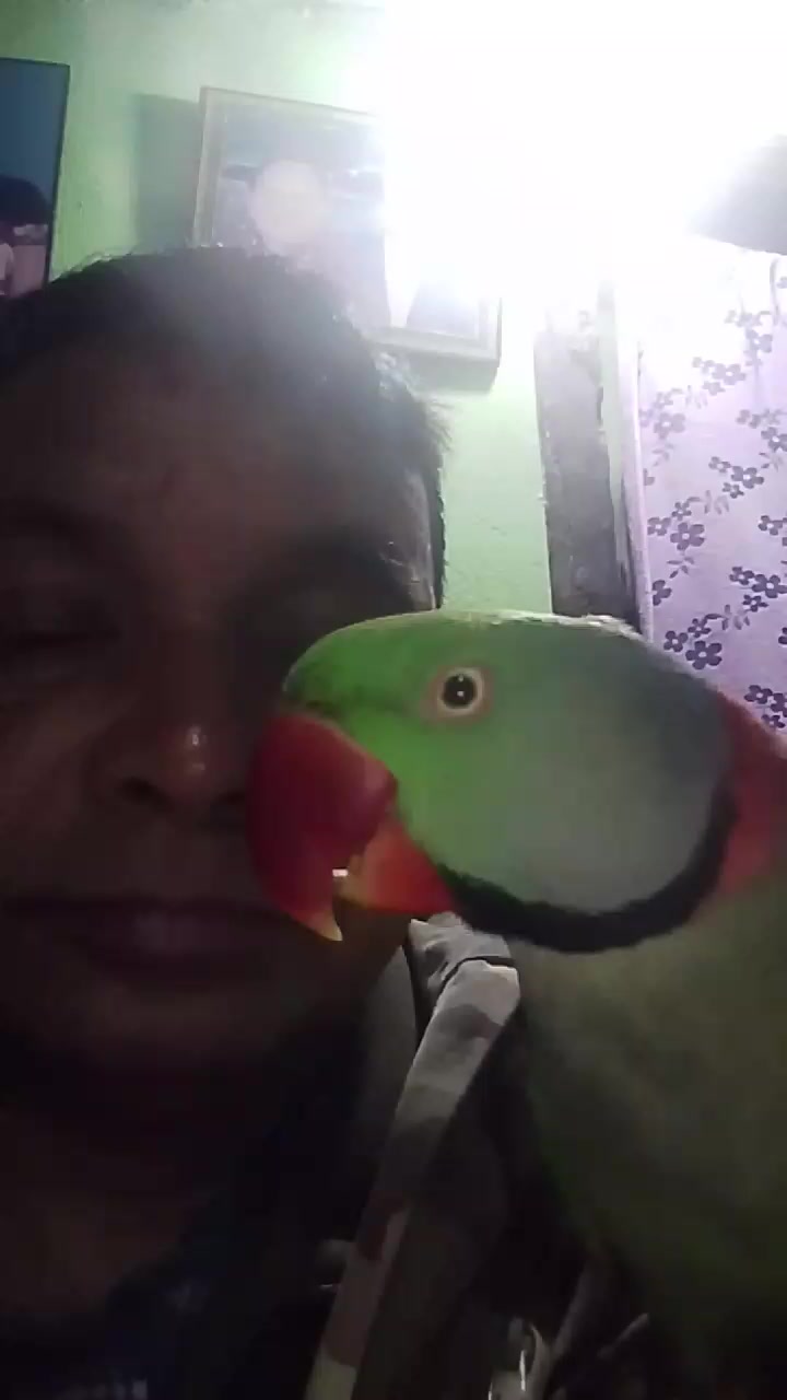 @Ajad Miya