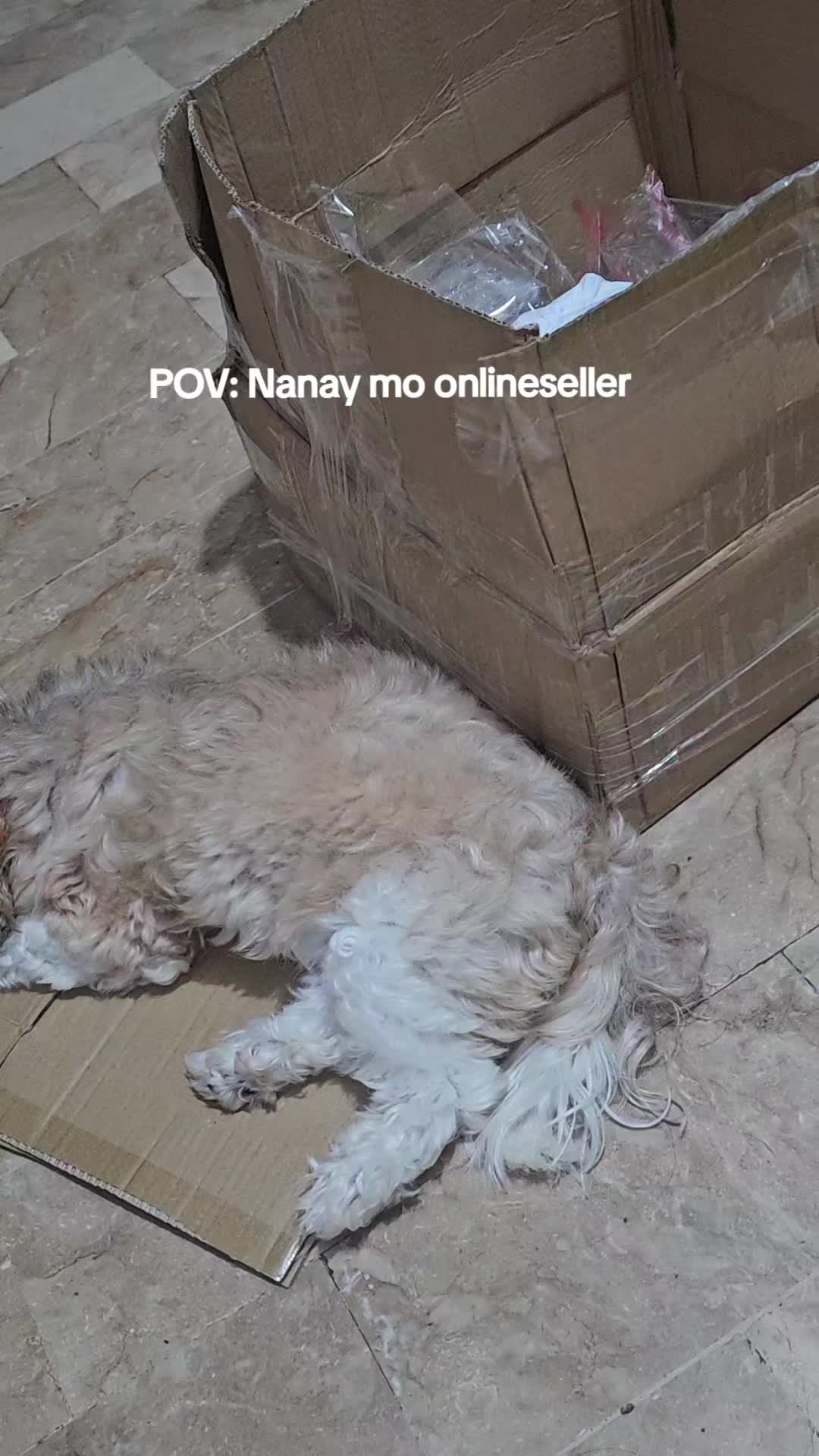 @nikikayyyy