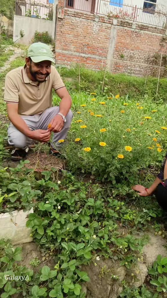 @काइली बुहारी