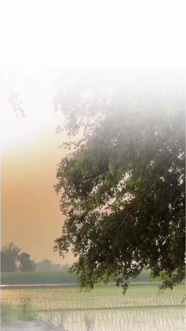 @تنہائی پسند🥂