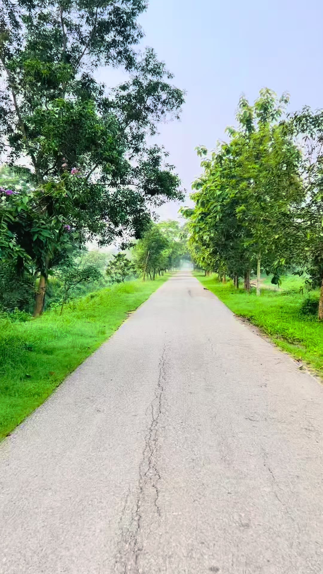 @R　E　O　N　ツ  🤝
