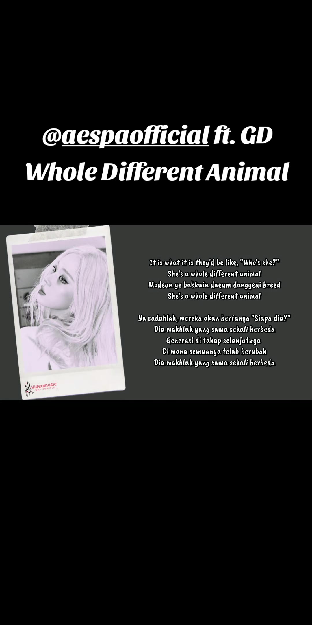 @VideomusicLyric