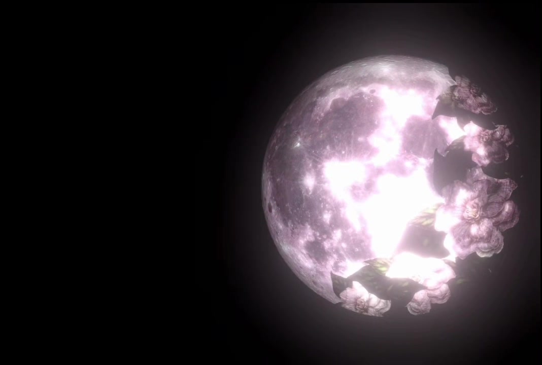 @✮⋆˙