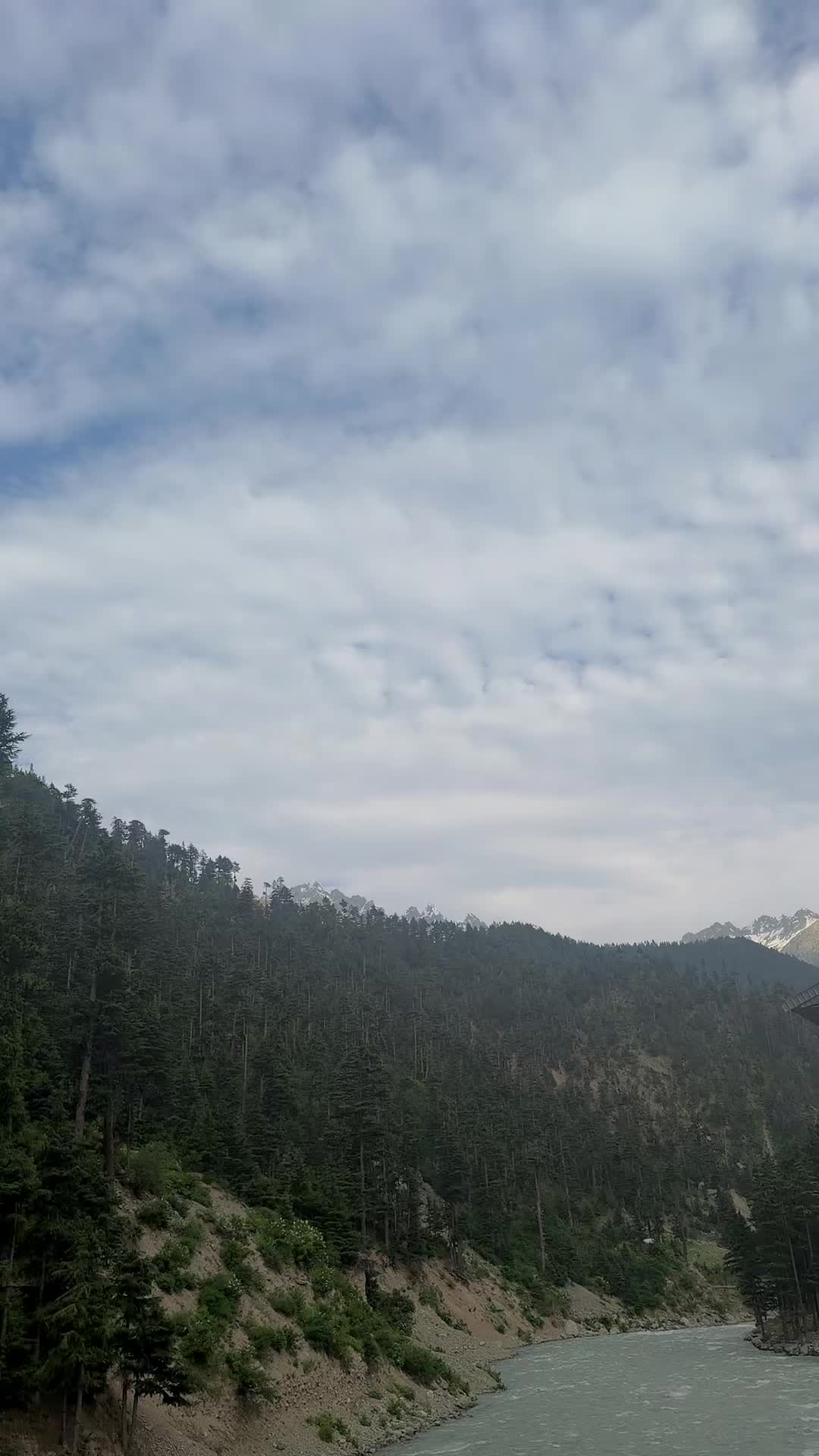 @Zahidarmanptitiger🥰