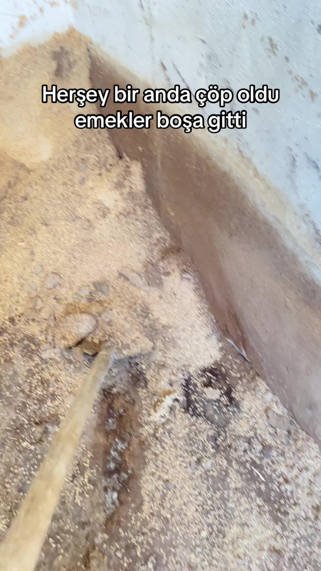 @Teslime AFŞAR