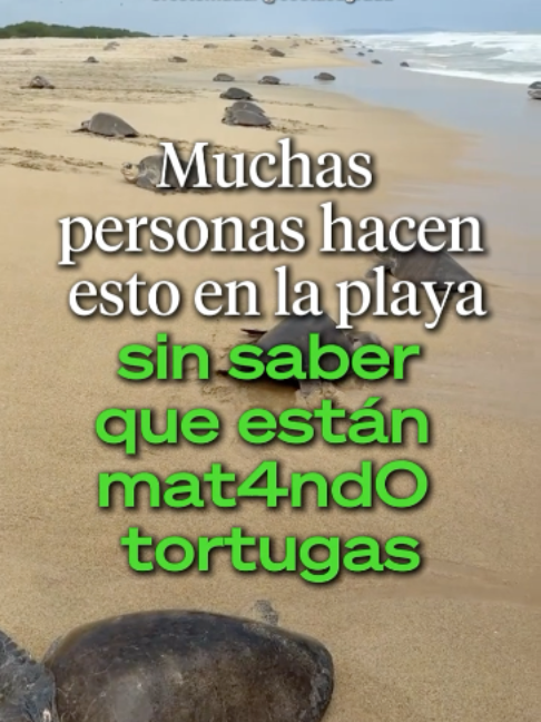 @Ahora Entiendo
