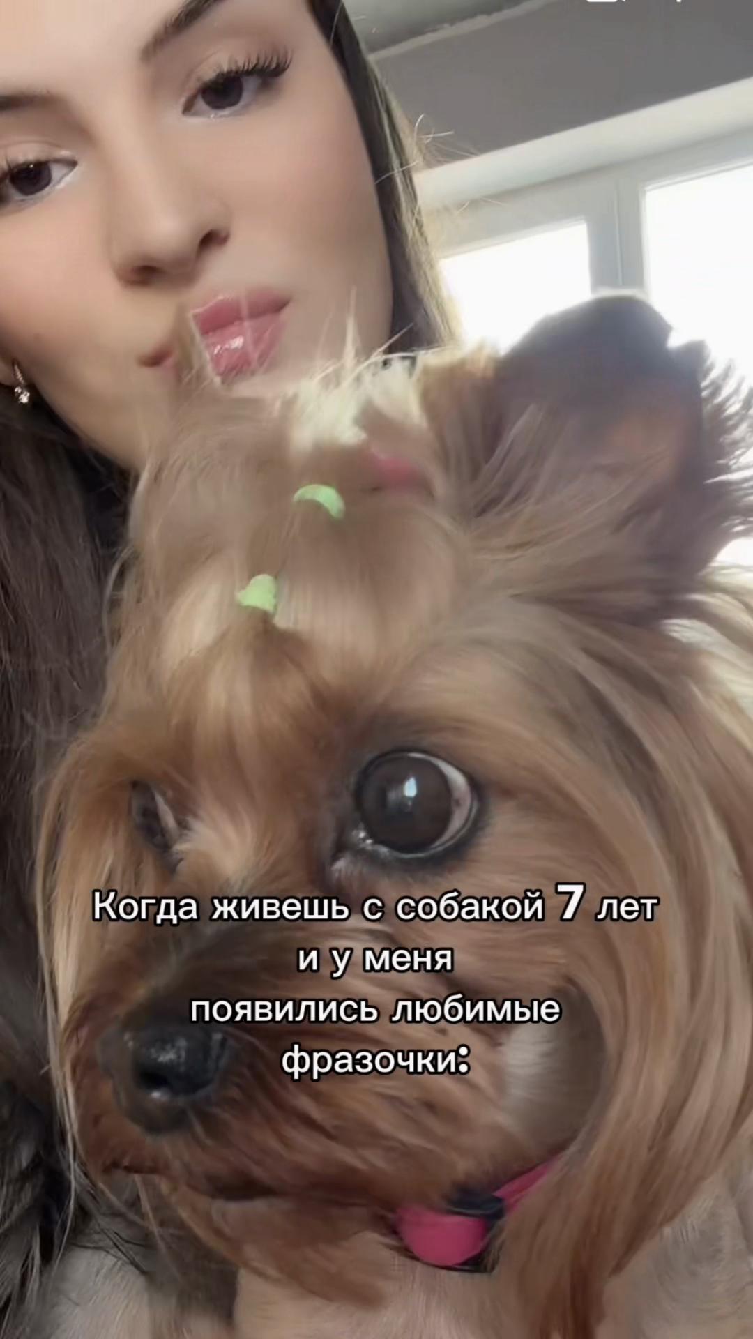 @Собака Евик🐾