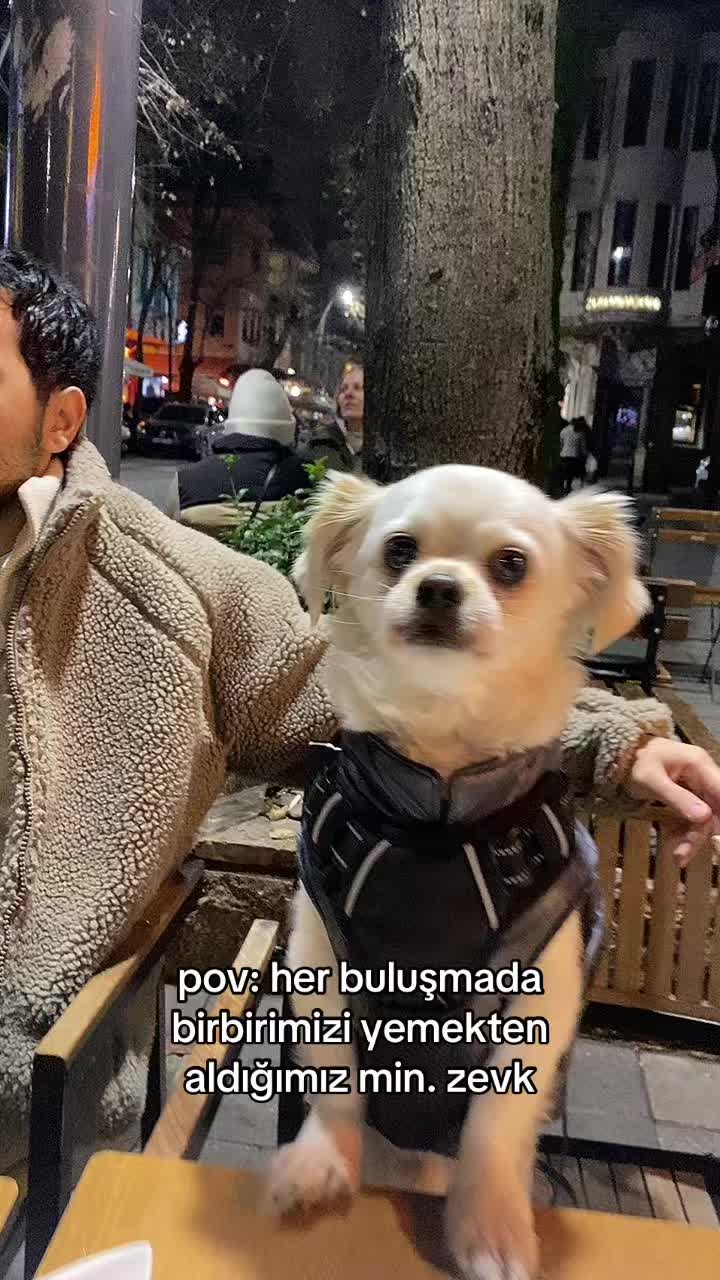 @G&ouml;zde Baş