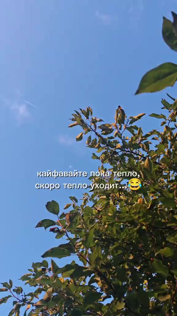 @Natasha