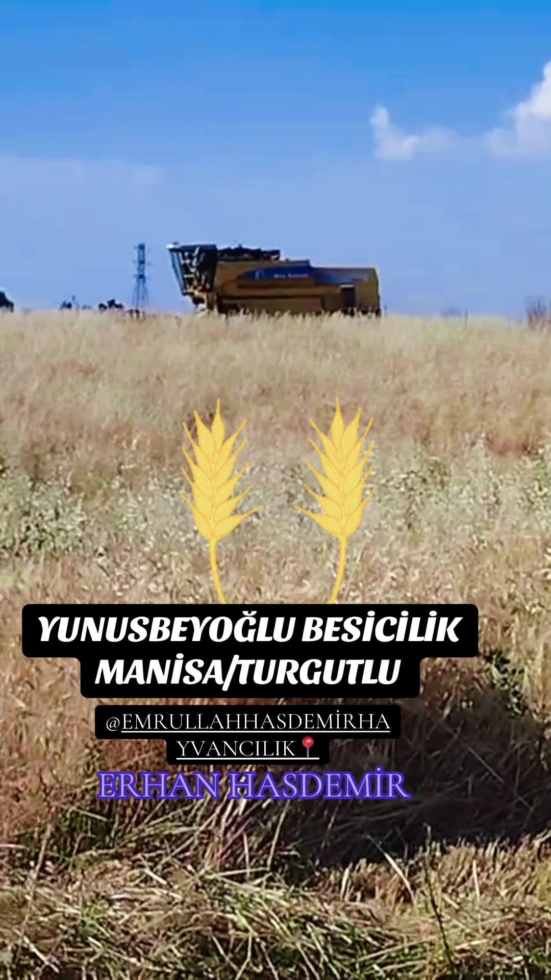 @Erhan Hasdemir