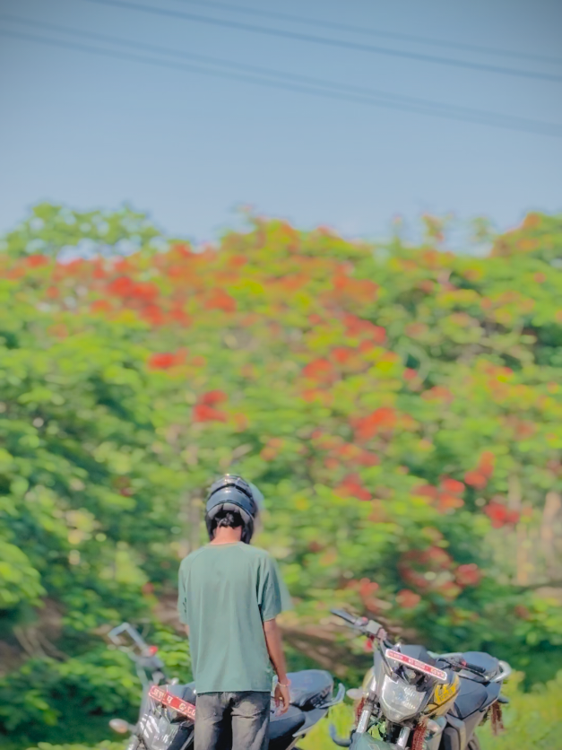 @๐ฆโจ๐๐๐ซ๐ข๐ ๐๐๐๐ก๐โจ๐ฆ