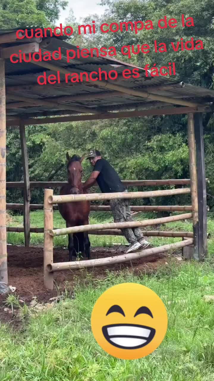 @luisfernandohcari