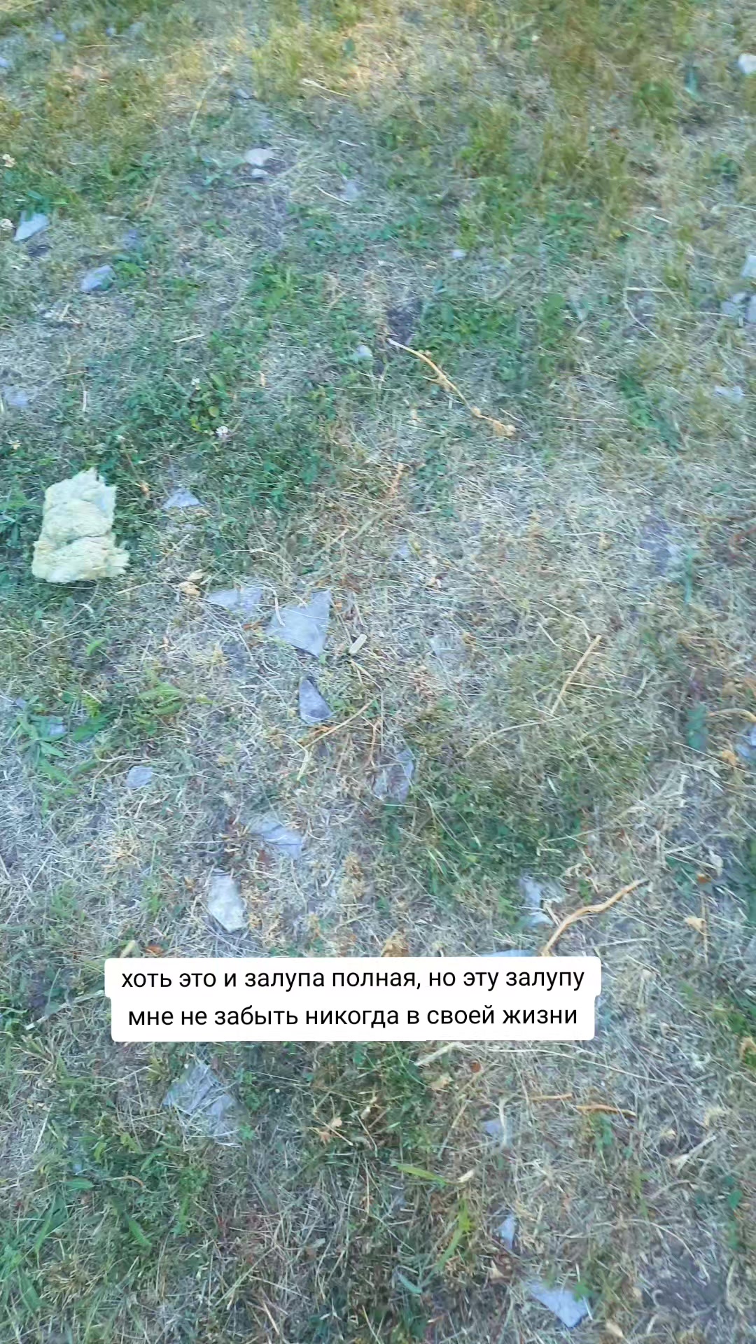 @☦УЧЁНЫЙ НА АЛЬФЕ☦ [🇷🇺☮]