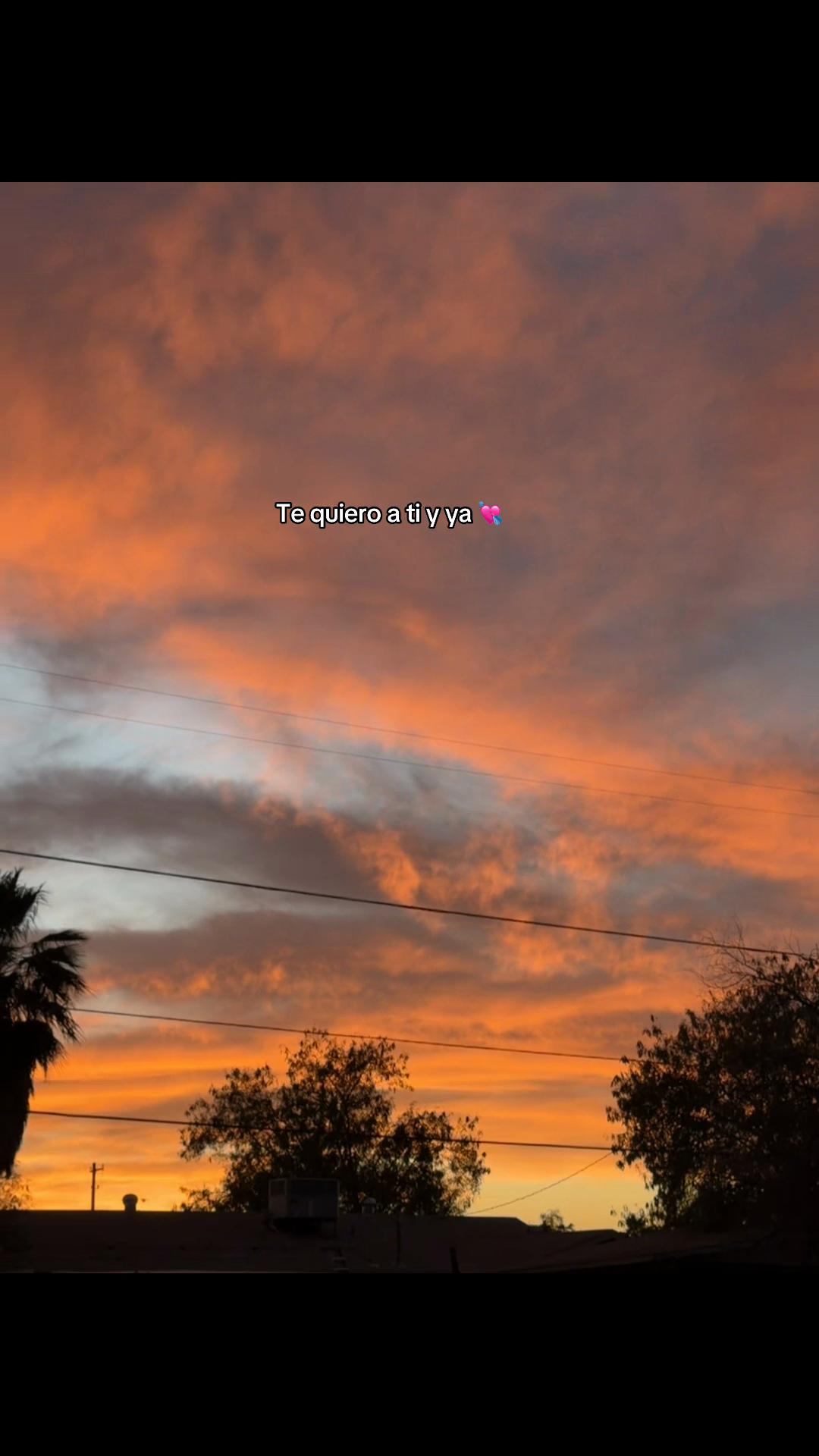 @&bull;𝚈𝚊𝚜𝚖𝚒𝚗