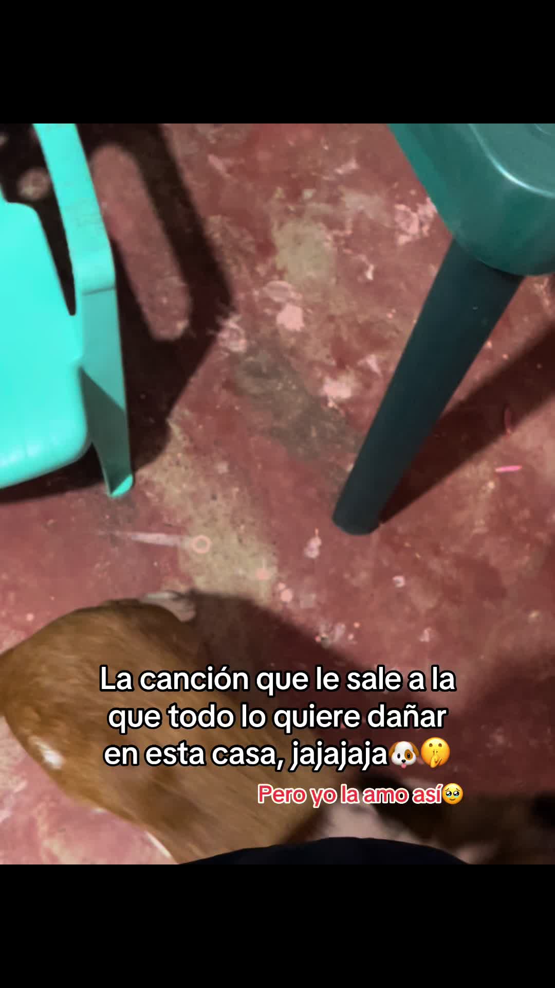 @Maria_G