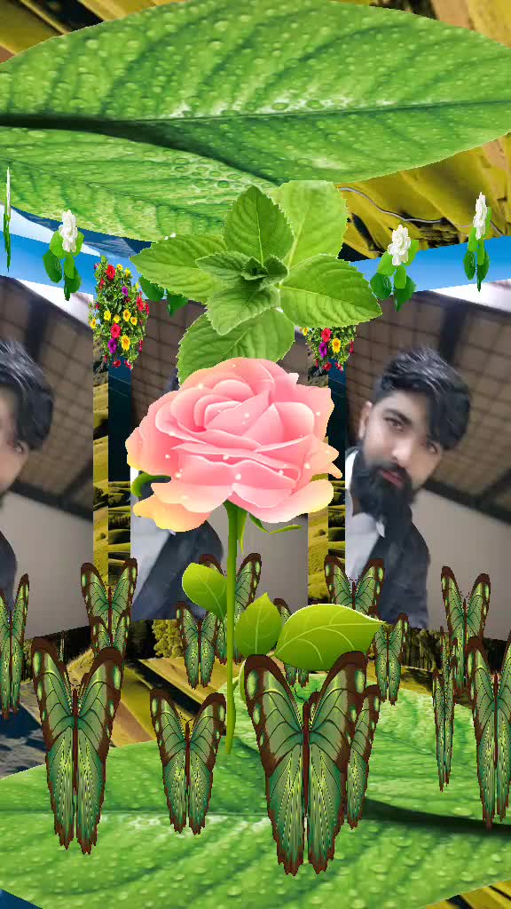 @tajam1234