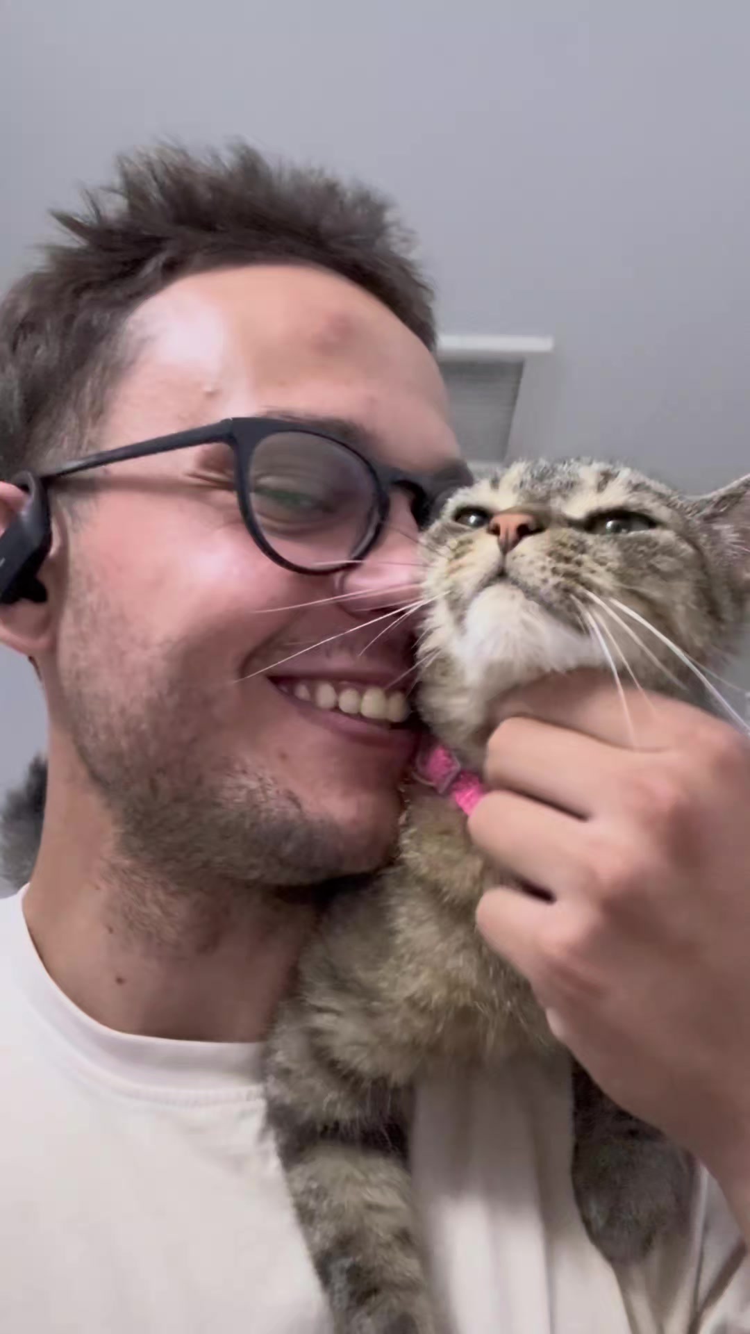 @Bellarda the cat