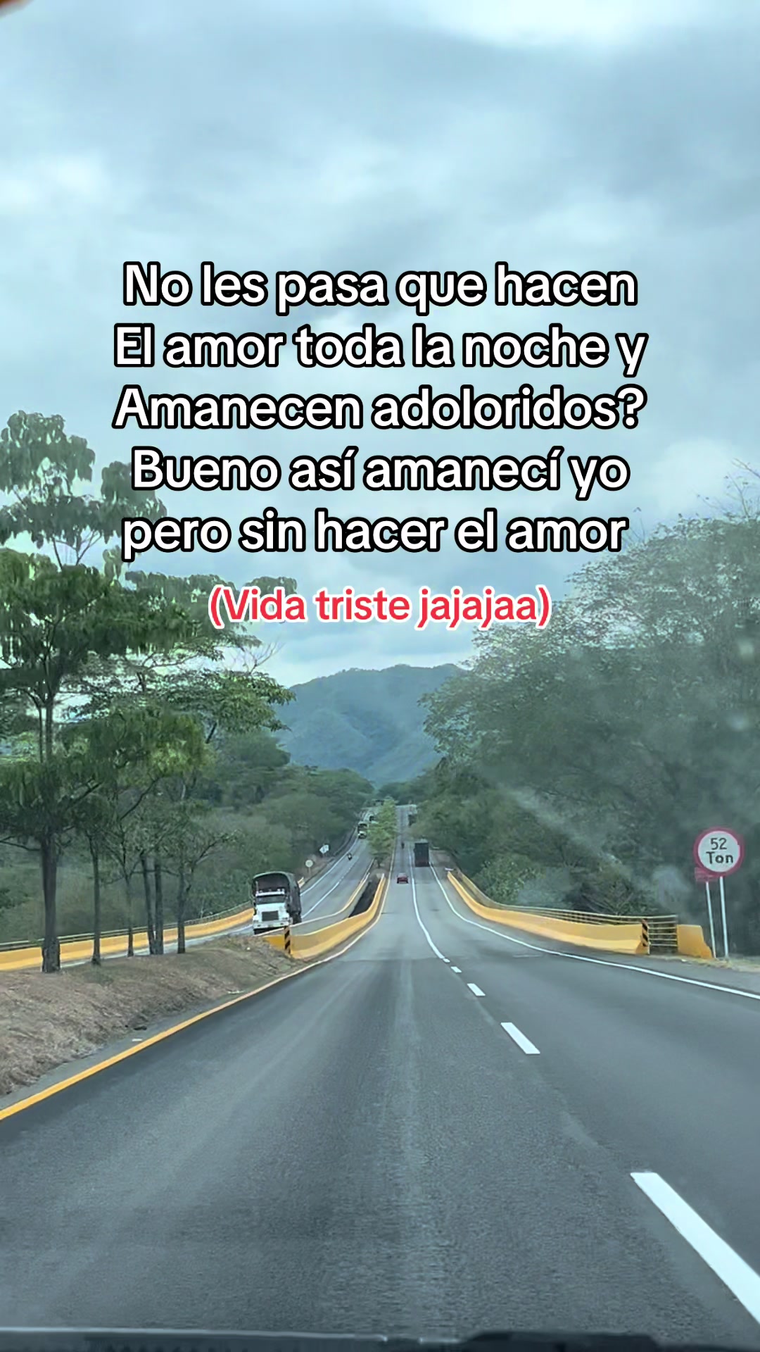 @Viviana Leal