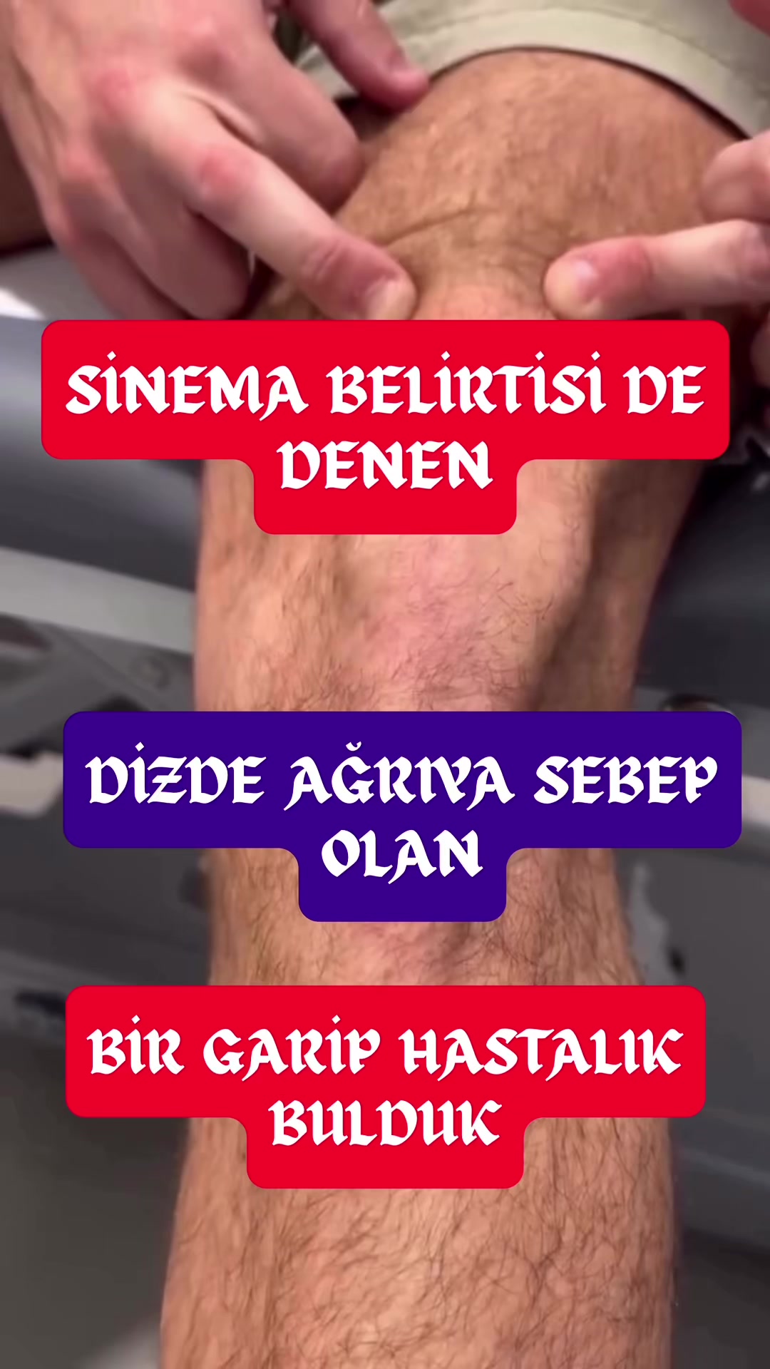 @Dr. Beşir Şahin İnceer