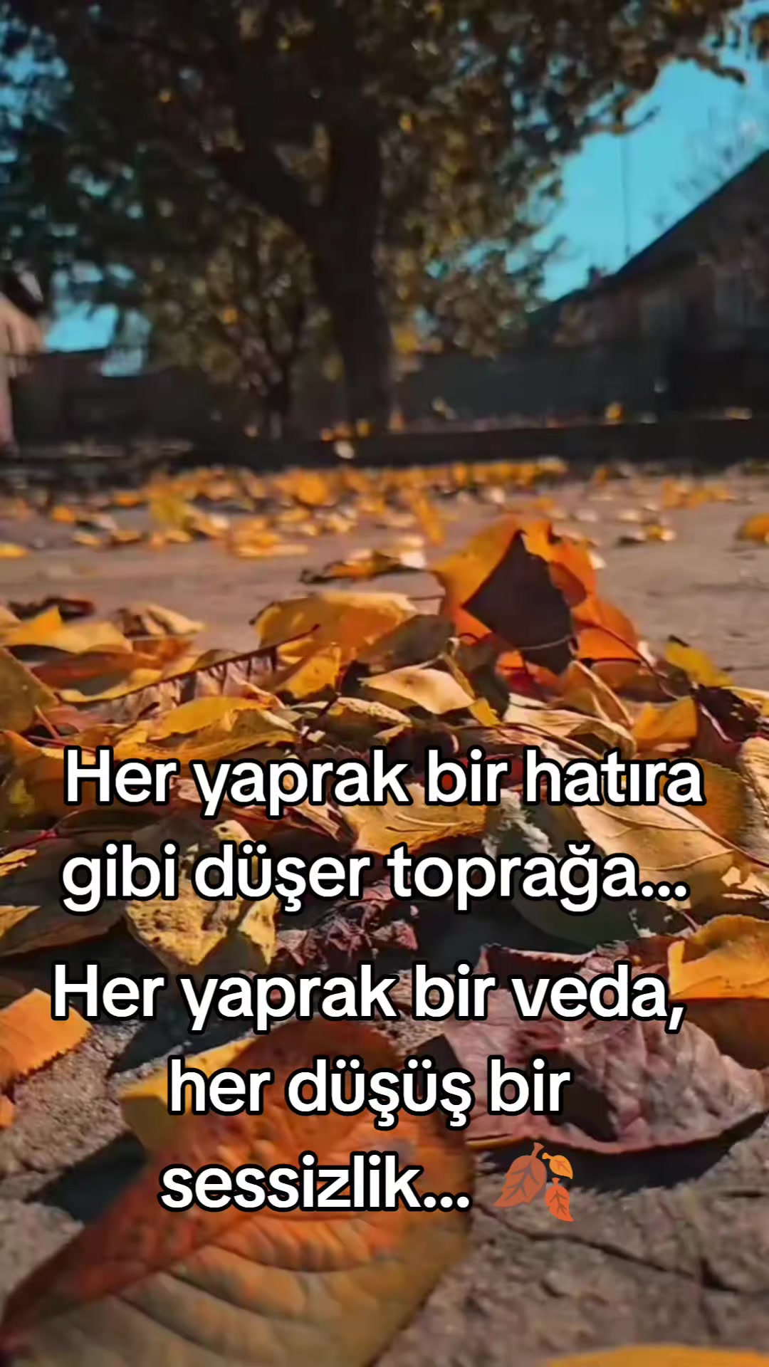 @yılmaz &Ccedil;etinkaya