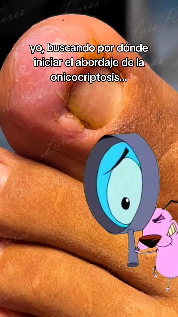 @Pod&oacute;logosMx