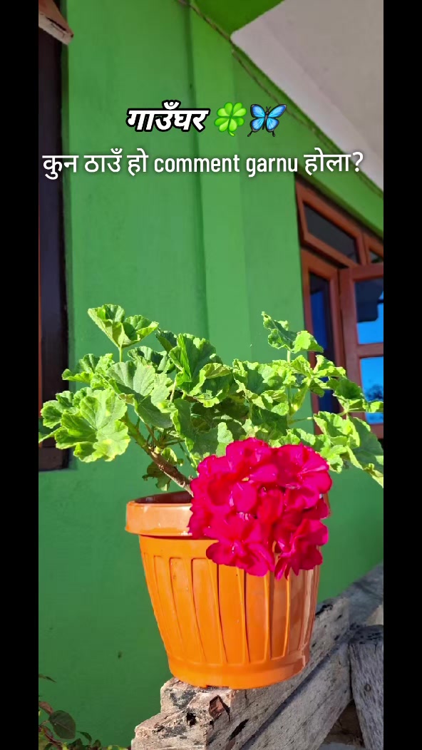 @Pranisha 🕉️🦋