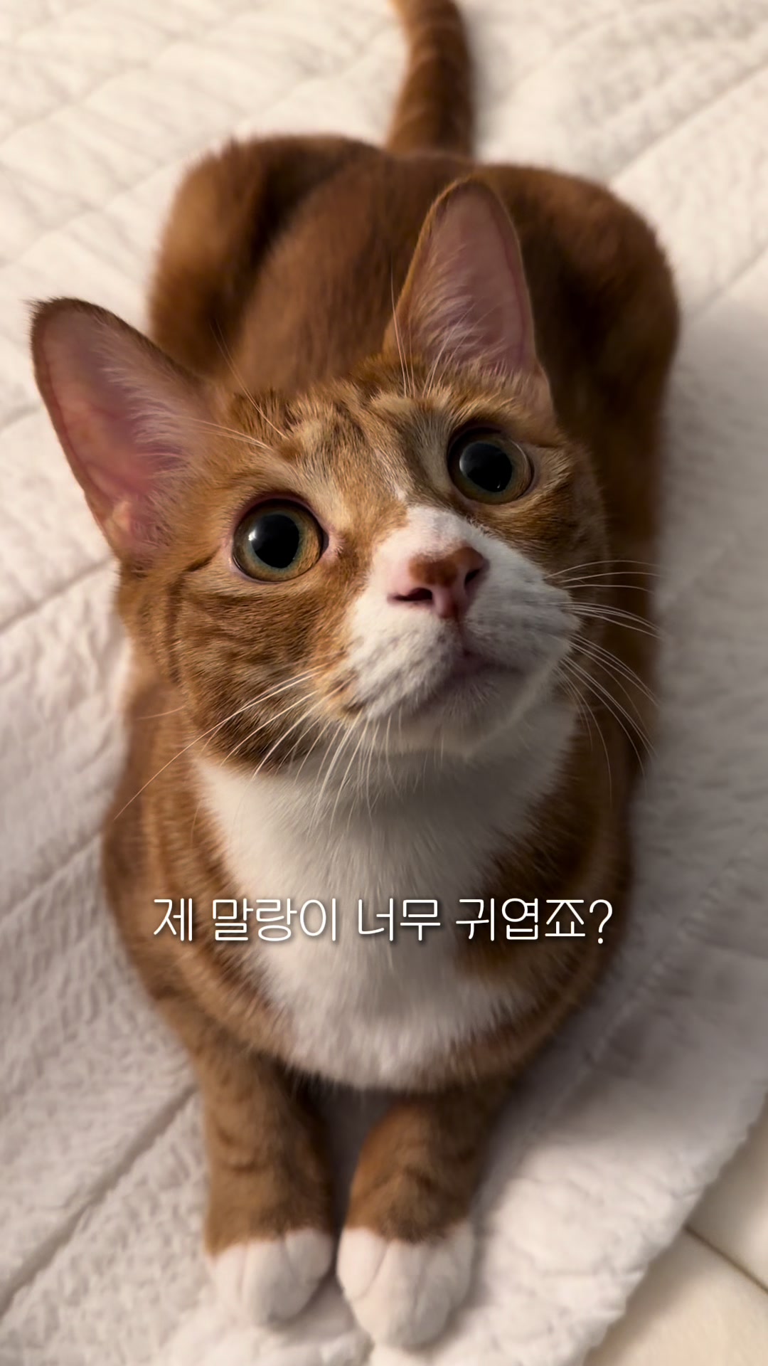 @뮤춘삼