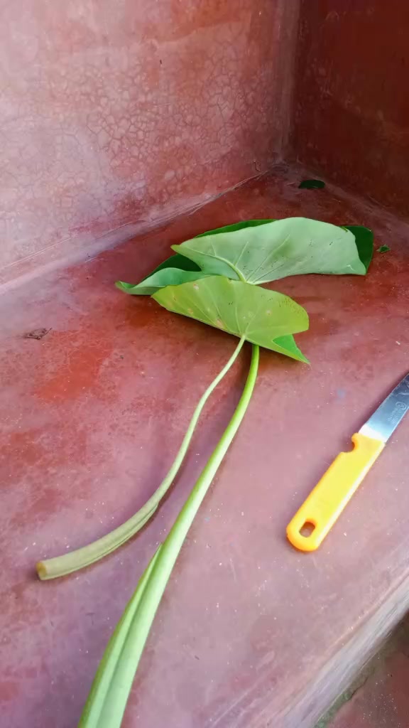@বিউটি পার্লার ট্রেনিং সেন্টার