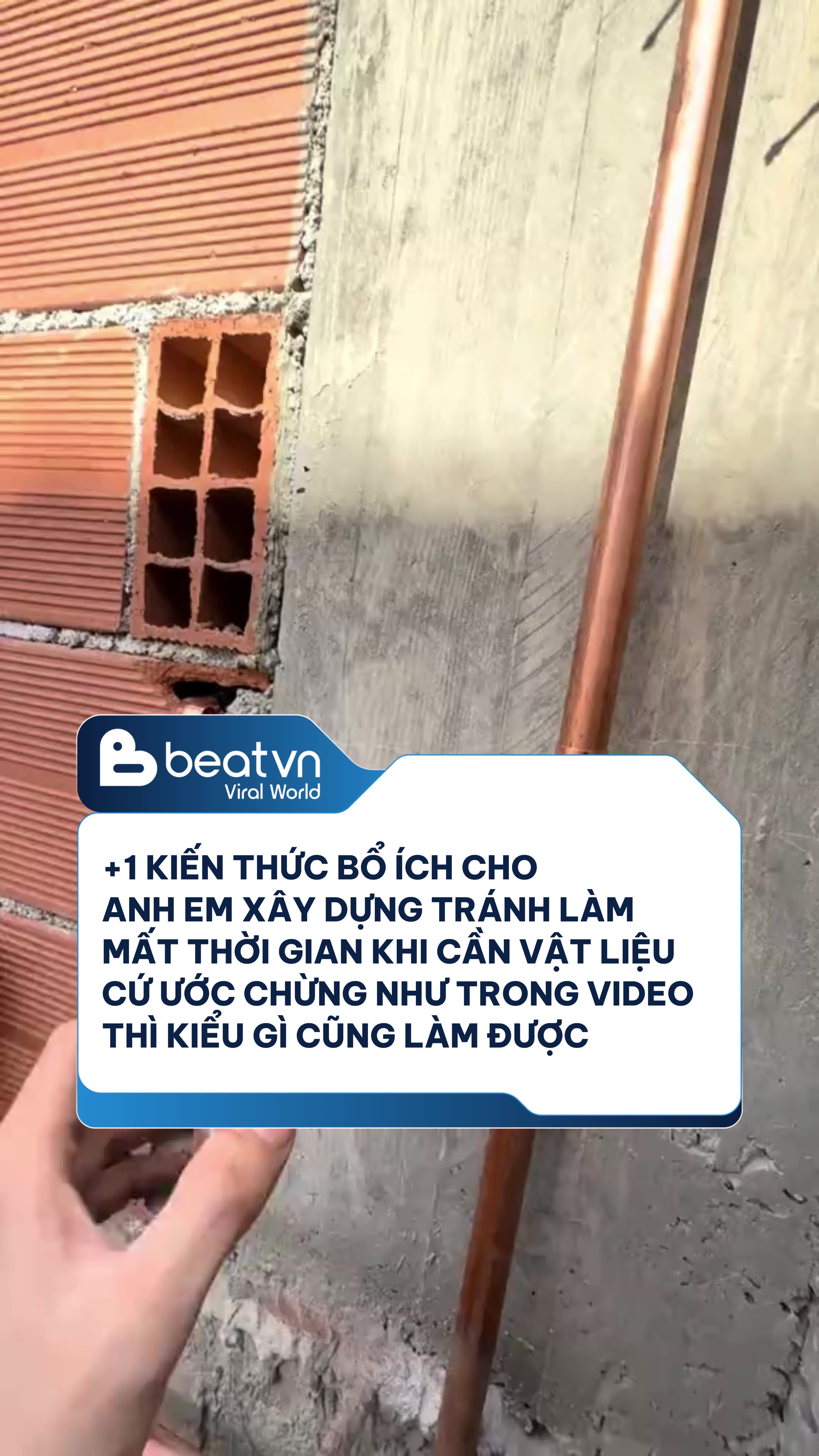 @Beatvn Viral World