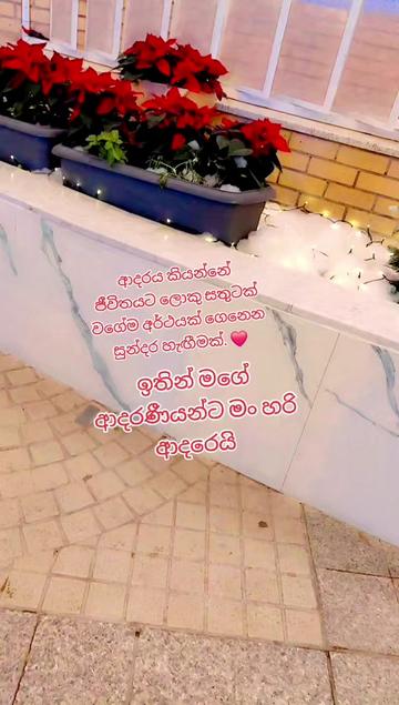 @සැවීනා online