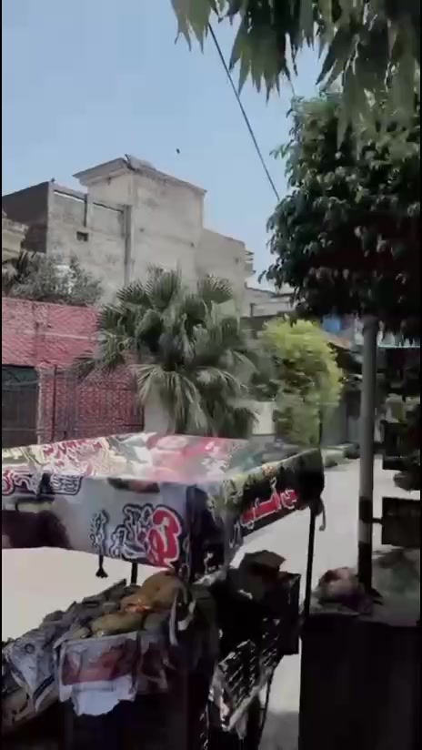 @👑JANI👑